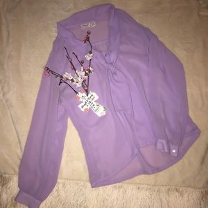 Amy Barr Lavender Sheer Top